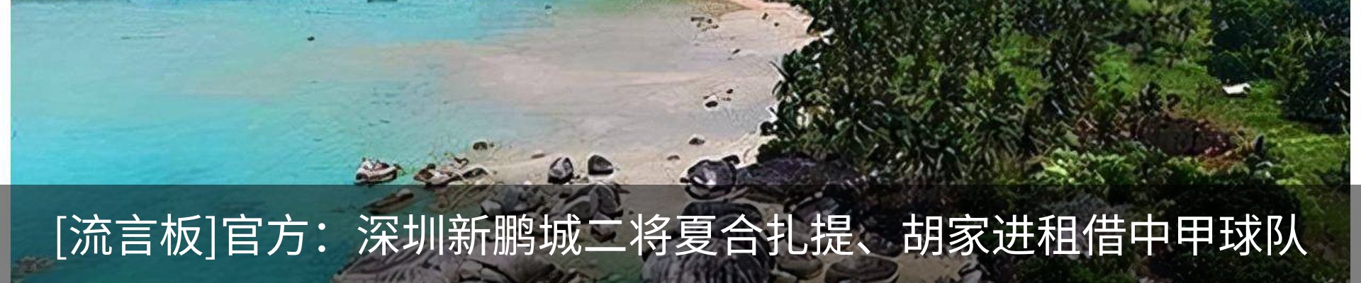 资讯动态
